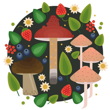 Vector flat style vector forest mushrooms and forest element. Forest berries and mushroom, strawberries, deep, blueberries, mountain ash, cranberries, leaf, dot.
