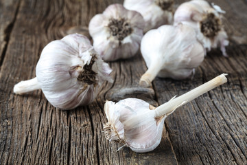 Dry ripe garlic head on wooden table