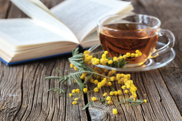 Obraz na płótnie Canvas Spring mimosa flowers and cup of tea
