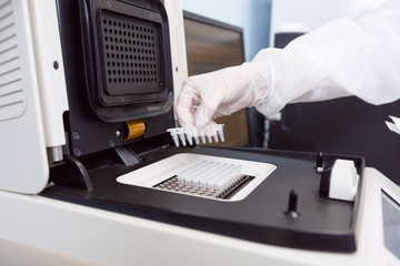 Female genetics worker placing the strips with DNA into the PCR thermal cycler or amplifier for PCR diagnostics