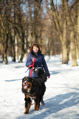 Woman in winter coat walks with the Bernese Mountain Dog around the park covered with snow