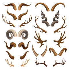 Horn vector horned wild animal and deer or antelope antlers illustration set of horny hunting trophy of reindeer isolated on white background - obrazy, fototapety, plakaty