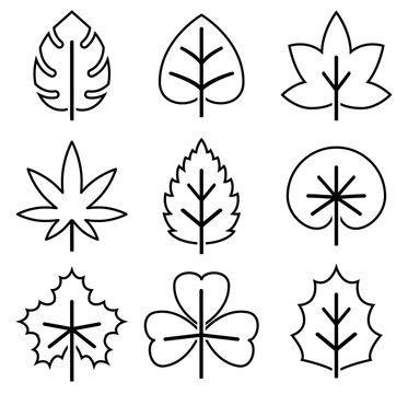 leaf icon outline