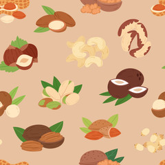 Nut vector nutshell of hazelnut or walnut and almond nuts set nutrition with cashew peanut and chestnuts nutmeg illustration isolated on seamless pattern background