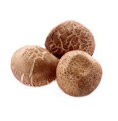 shiitake mushroom isolated on white background