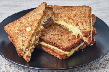 Grilled sandwich with cheese on a plate.
