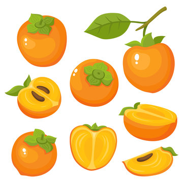 Bright vector set of colorful fresh juicy persimmon.