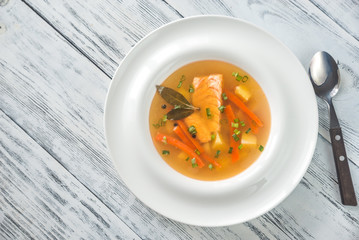 Portion of salmon soup