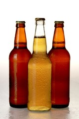 Bottles of beer