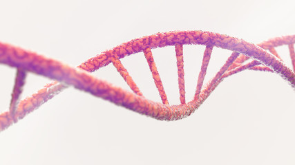 DNA helix on white background- 3D Rendering
