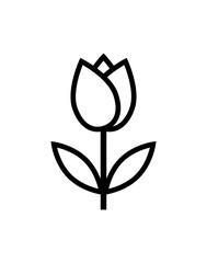 Fototapeta tulip flower icon obraz