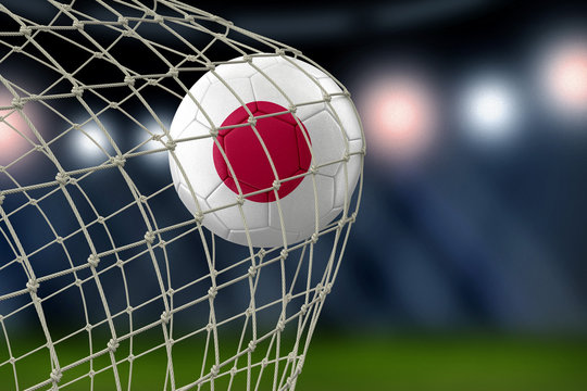 Japanese soccerball in net
