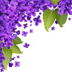 Flowers and leaves of lilac. Abstract background for greeting cards, texts, congratulations.
