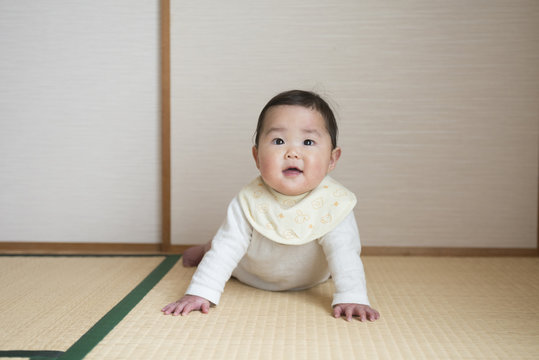 腹ばい Images Browse 2 Stock Photos Vectors And Video Adobe Stock