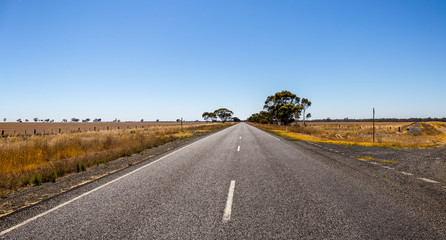 A long road in the Australian outback with wheat fields burnt by the sun