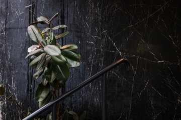 Black marble wall texture with metal staircase rail and green plant. Modern minimalist design concept