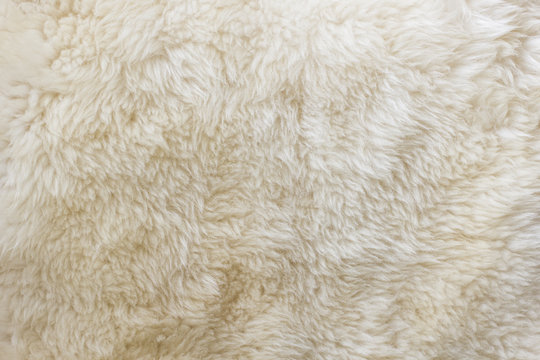 Natural Fur Texture 