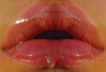 Honey lips. Sexy pink and golden honey lips, shiny glossy mouth. Sweet lipstick, transparent...
