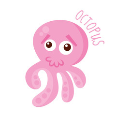 Marine life. Octopus