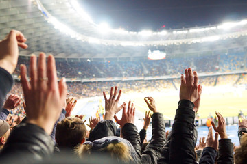 fans at the stadium support the cotton sports club