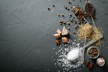  pepper black peas and salt and green dried grass seasoning and garlic in metal antique spoons and hot chili peppers on a dark concrete  beton background    