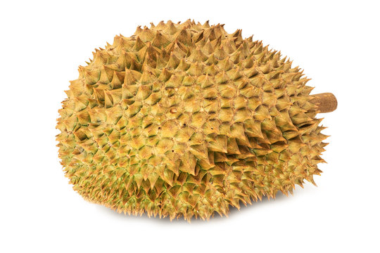 Durian