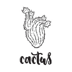 Vector hand drawn illustration. Cactus in the shape of a heart in the technique of doodling, lettering, black and white. The idea for the design of a t-shirt, poster, postcard, product, website.