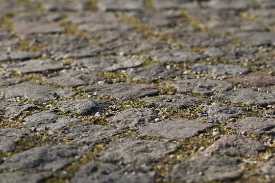 Stone pavement closeup with joints, split and a little bit of grass 3