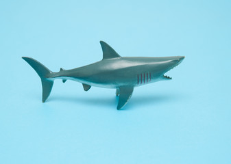 Shark toy on blue background.
