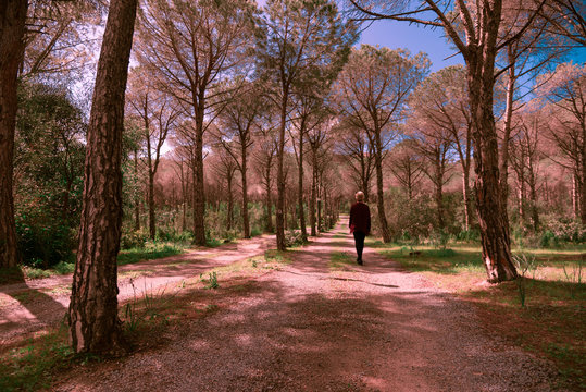 Donna di spalle nel bosco in autunno
