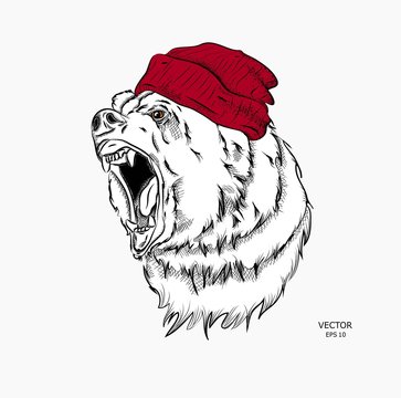 Hipster bear in cap. Vector illustration