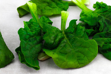 leaves of fresh spinach closeup on grey background