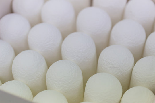 รูปภาพSoxhlet – เลือกดูภาพถ่ายสต็อก เวกเตอร์ และวิดีโอ104 | Adobe Stock