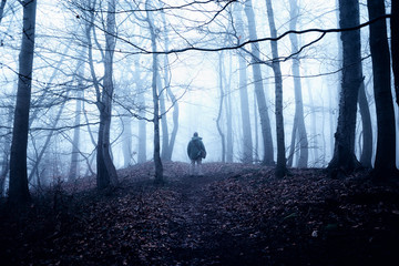 Mann wandert in einem mystischen dunklen Nebelwald