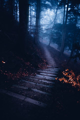 Dunkle Treppe führt nachts durch den furchterregenden Wald