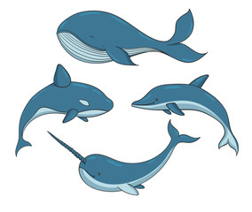 Set of blue vector underwater creatures with whales, narwhal and dolphin. Marine animals isolated on the white background.