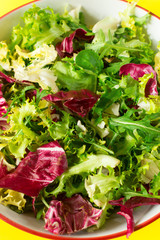 Mix of salads in a plate. Lettuce, frieze salad, radicchio, arugula, spinach. Bright yellow background. Close-up. The concept of a healthy diet