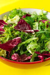 Mix of salads in a plate. Lettuce, frieze salad, radicchio, arugula, spinach. Bright yellow background. Close-up. The concept of a healthy diet