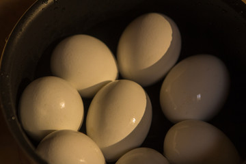 a few boiled eggs in a saucepan in the sun