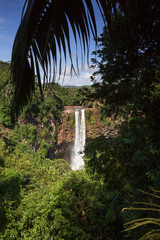 Landscape of Chamarel Waterfall