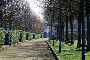 Footpath in public park, tranquility scene, idyllic background