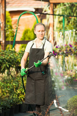 Florist takes care of the herbs