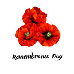 Remembrance Day greeting card