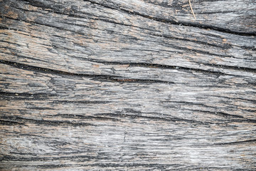 Fototapeta premium Brown wood texture grunge background