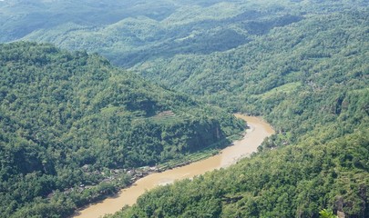 Fototapeta premium Streams winding in the middle of the forest, Yogyakarta, Indonesia