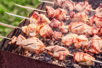 Meat kebabs on skewers