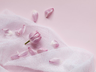 Obraz na płótnie Canvas Pink tulip head and flower petals on white net fabric isolated on light pink background. Copy space. Flat lay. Top view