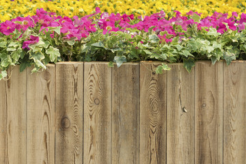 Wooden fence in flower Garden