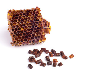 Bee granules and a piece of honey cells are isolated on a white background. Natural remedy for immunity enhancement. Beekeeping products. Apitherapy.