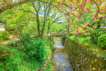 Fototapeta na wymiar Scenic landscape of Philosopher's walk also called Tetsugaku-no-michi, a pedestrian path that follows a cherry-tree-lined canal in Kyoto, Higashiyama district, Japan.